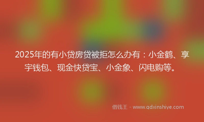 2025年的有小贷房贷被拒怎么办有：小金鹤、享宇钱包、现金快贷宝、小金象、闪电购等。