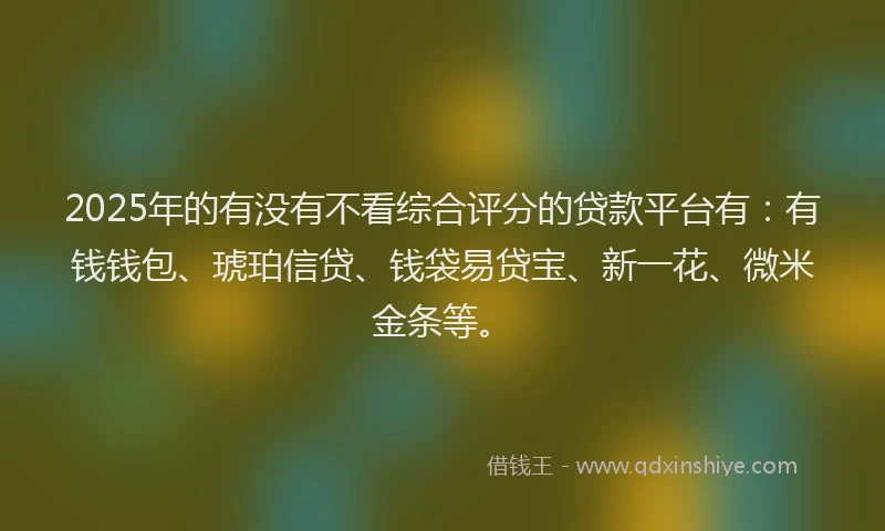 2025年的有没有不看综合评分的贷款平台有:有钱钱包、琥珀信贷、钱袋易贷宝、新一花、微米金条等。