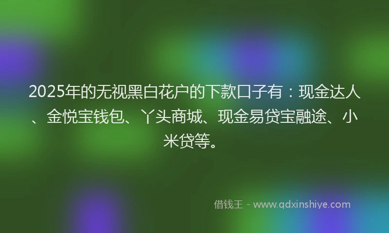 2025年的无视黑白花户的下款口子有：现金达人、金悦宝钱包、丫头商城、现金易贷宝融途、小米贷等。