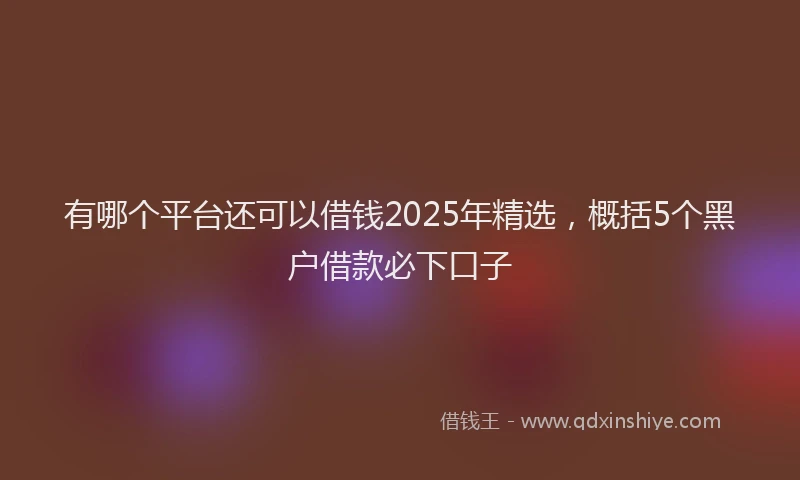 有哪个平台还可以借钱2025年精选，概括5个黑户借款必下口子