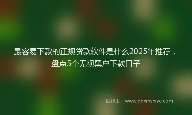 最容易下款的正规贷款软件是什么2025年推荐，盘点5个无视黑户下款口子