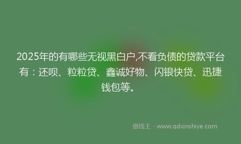 2025年的有哪些无视黑白户,不看负债的贷款平台有：还呗、粒粒贷、鑫诚好物、闪银快贷、迅捷钱包等。