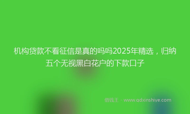 机构贷款不看征信是真的吗吗2025年精选，归纳五个无视黑白花户的下款口子