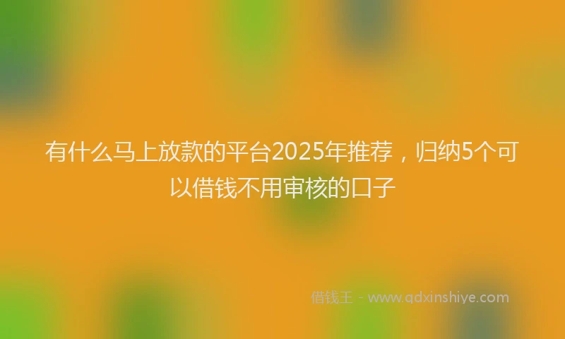有什么马上放款的平台2025年推荐，归纳5个可以借钱不用审核的口子