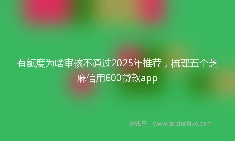 有额度为啥审核不通过2025年推荐，梳理五个芝麻信用600贷款app