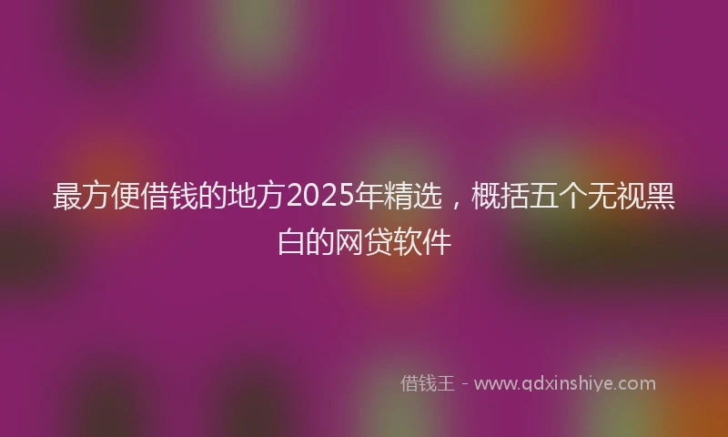 最方便借钱的地方2025年精选，概括五个无视黑白的网贷软件