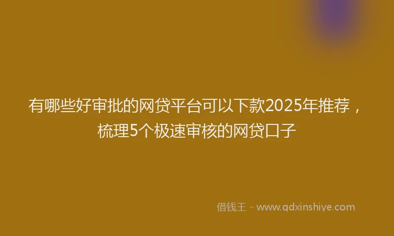 有哪些好审批的网贷平台可以下款2025年推荐，梳理5个极速审核的网贷口子