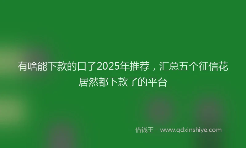 有啥能下款的口子2025年推荐，汇总五个征信花居然都下款了的平台
