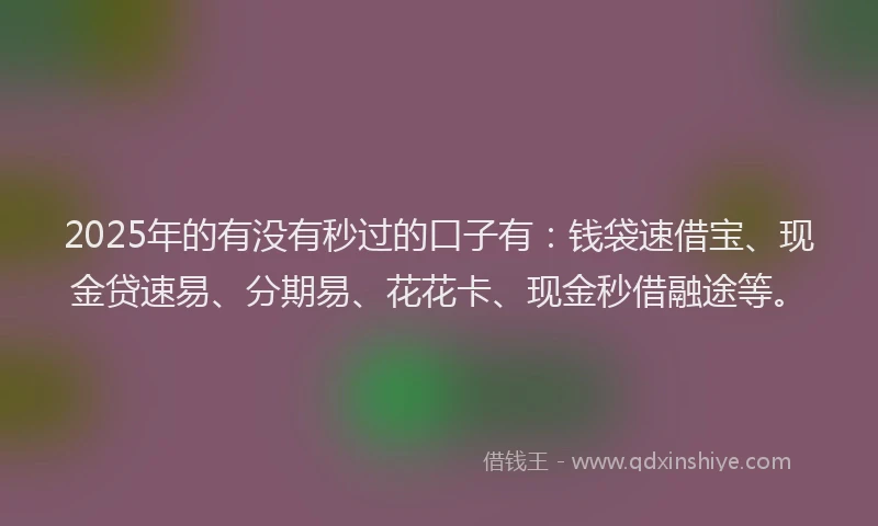 2025年的有没有秒过的口子有：钱袋速借宝、现金贷速易、分期易、花花卡、现金秒借融途等。