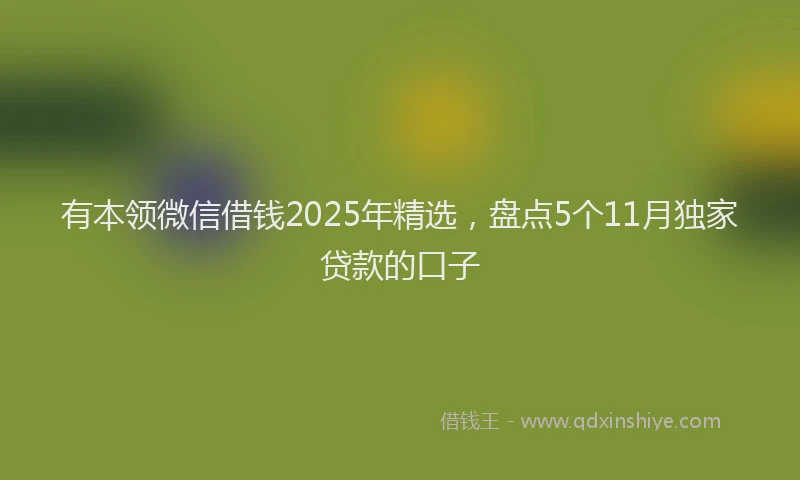 有本领微信借钱2025年精选，盘点5个11月独家贷款的口子