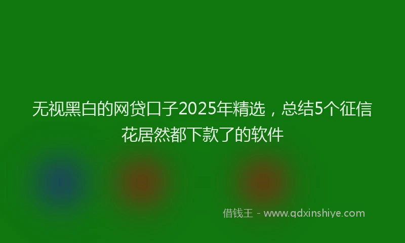 无视黑白的网贷口子2025年精选，总结5个征信花居然都下款了的软件