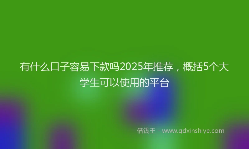 有什么口子容易下款吗2025年推荐，概括5个大学生可以使用的平台