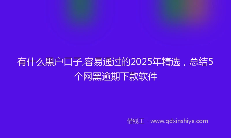 有什么黑户口子,容易通过的2025年精选，总结5个网黑逾期下款软件