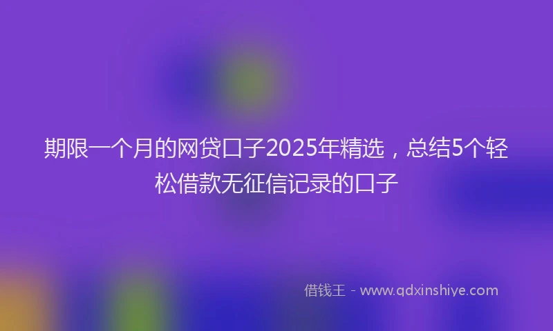 期限一个月的网贷口子2025年精选，总结5个轻松借款无征信记录的口子