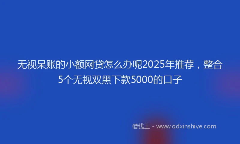 无视呆账的小额网贷怎么办呢2025年推荐，整合5个无视双黑下款5000的口子