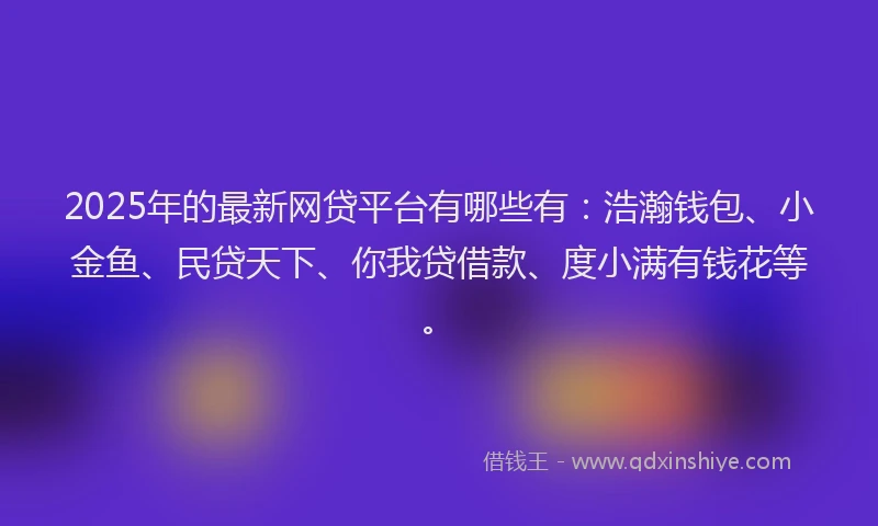 2025年的最新网贷平台有哪些有：浩瀚钱包、小金鱼、民贷天下、你我贷借款、度小满有钱花等。