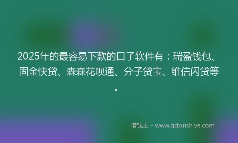 2025年的最容易下款的口子软件有：瑞盈钱包、固金快贷、森森花呗通、分子贷宝、维信闪贷等。