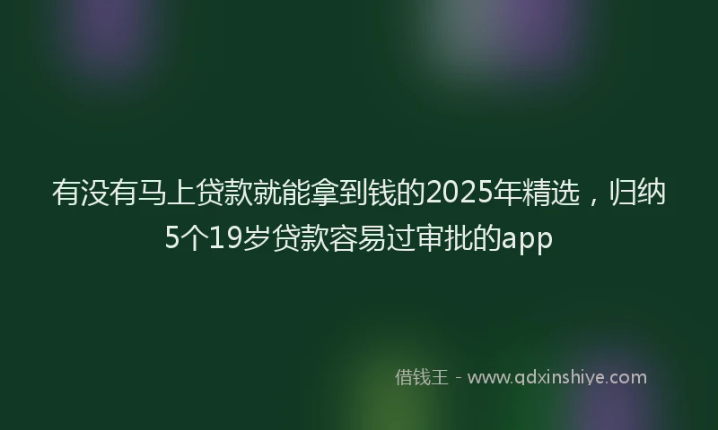 有没有马上贷款就能拿到钱的2025年精选，归纳5个19岁贷款容易过审批的app