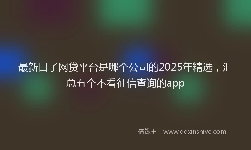 最新口子网贷平台是哪个公司的2025年精选，汇总五个不看征信查询的app