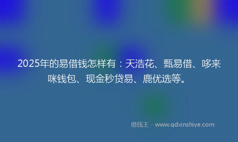 2025年的易借钱怎样有：天浩花、甄易借、哆来咪钱包、现金秒贷易、鹿优选等。