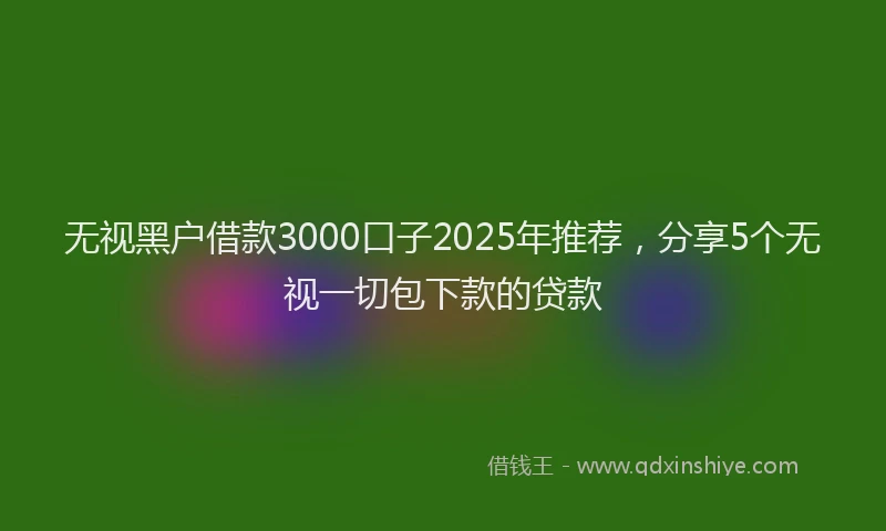 无视黑户借款3000口子2025年推荐，分享5个无视一切包下款的贷款