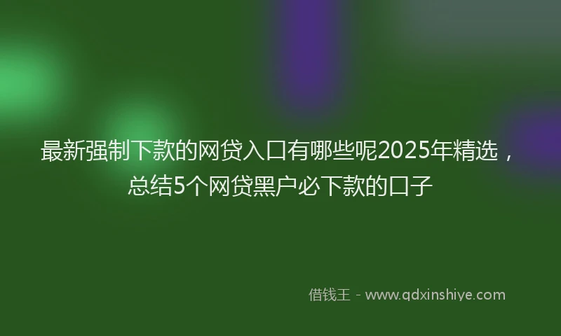 最新强制下款的网贷入口有哪些呢2025年精选，总结5个网贷黑户必下款的口子