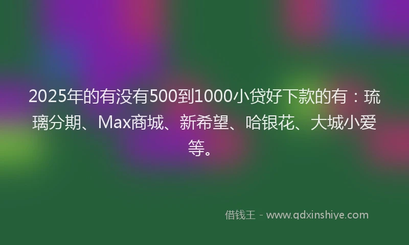 2025年的有没有500到1000小贷好下款的有：琉璃分期、Max商城、新希望、哈银花、大城小爱等。