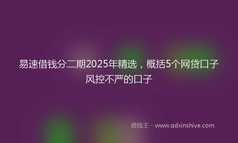 易速借钱分二期2025年精选，概括5个网贷口子风控不严的口子