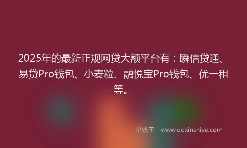 2025年的最新正规网贷大额平台有：瞬信贷通、易贷Pro钱包、小麦粒、融悦宝Pro钱包、优一租等。