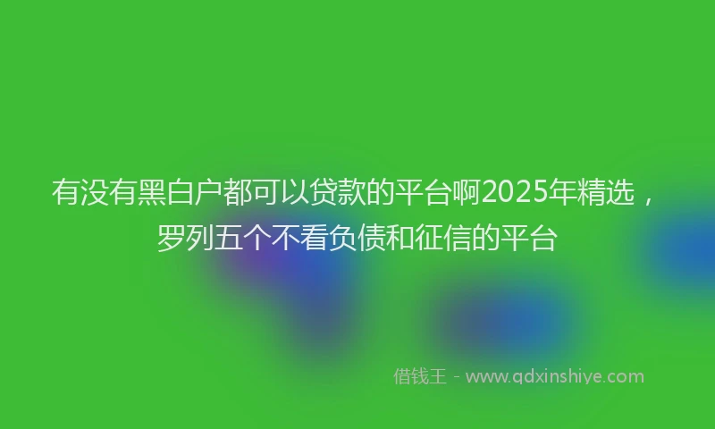 有没有黑白户都可以贷款的平台啊2025年精选，罗列五个不看负债和征信的平台