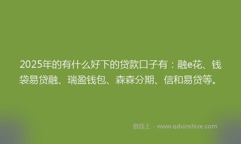 2025年的有什么好下的贷款口子有：融e花、钱袋易贷融、瑞盈钱包、森森分期、信和易贷等。