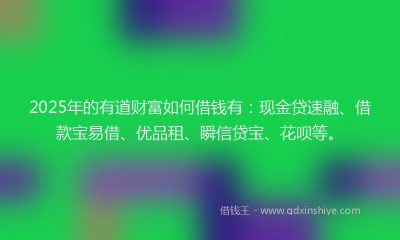 2025年的有道财富如何借钱有：现金贷速融、借款宝易借、优品租、瞬信贷宝、花呗等。