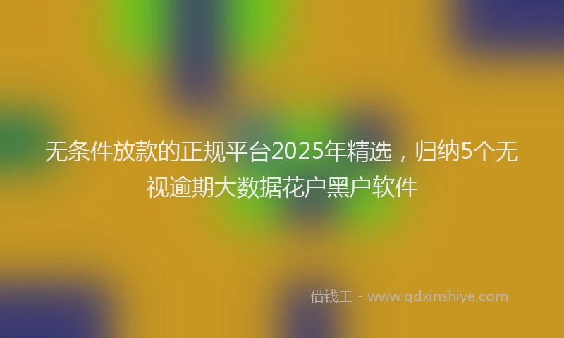无条件放款的正规平台2025年精选，归纳5个无视逾期大数据花户黑户软件