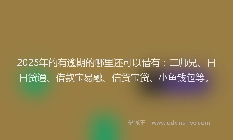 2025年的有逾期的哪里还可以借有：二师兄、日日贷通、借款宝易融、信贷宝贷、小鱼钱包等。