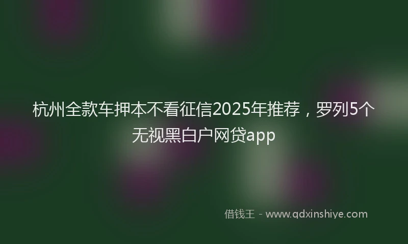 杭州全款车押本不看征信2025年推荐，罗列5个无视黑白户网贷app