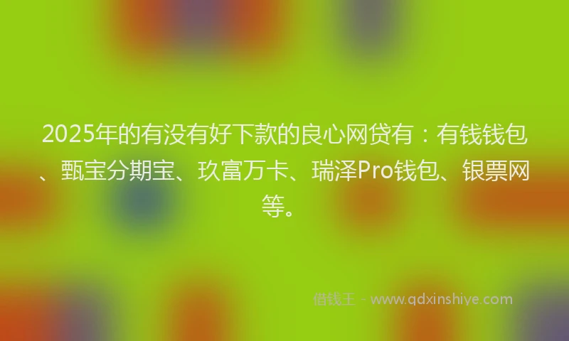 2025年的有没有好下款的良心网贷有：有钱钱包、甄宝分期宝、玖富万卡、瑞泽Pro钱包、银票网等。