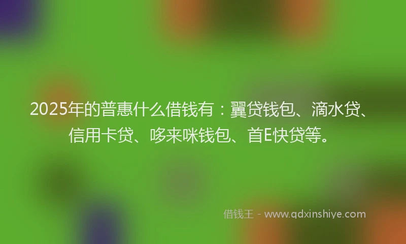 2025年的普惠什么借钱有：翼贷钱包、滴水贷、信用卡贷、哆来咪钱包、首E快贷等。