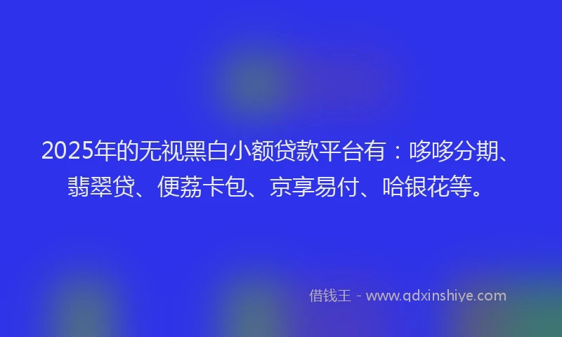 2025年的无视黑白小额贷款平台有：哆哆分期、翡翠贷、便荔卡包、京享易付、哈银花等。