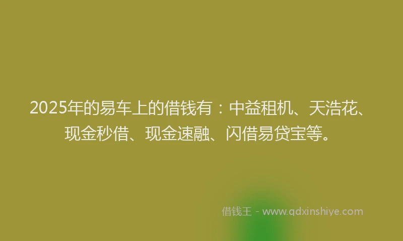 2025年的易车上的借钱有：中益租机、天浩花、现金秒借、现金速融、闪借易贷宝等。