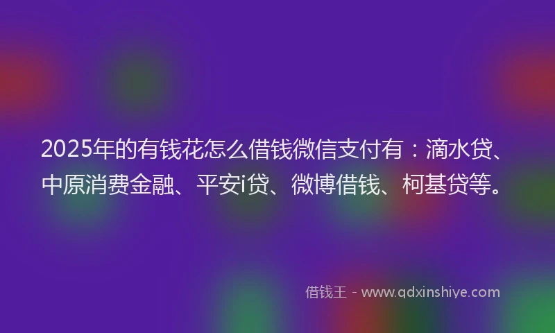 2025年的有钱花怎么借钱微信支付有：滴水贷、中原消费金融、平安i贷、微博借钱、柯基贷等。