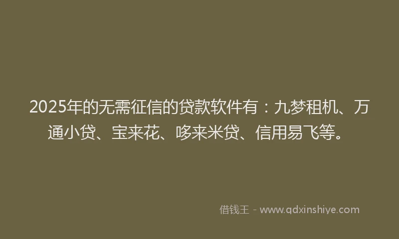 2025年的无需征信的贷款软件有：九梦租机、万通小贷、宝来花、哆来米贷、信用易飞等。