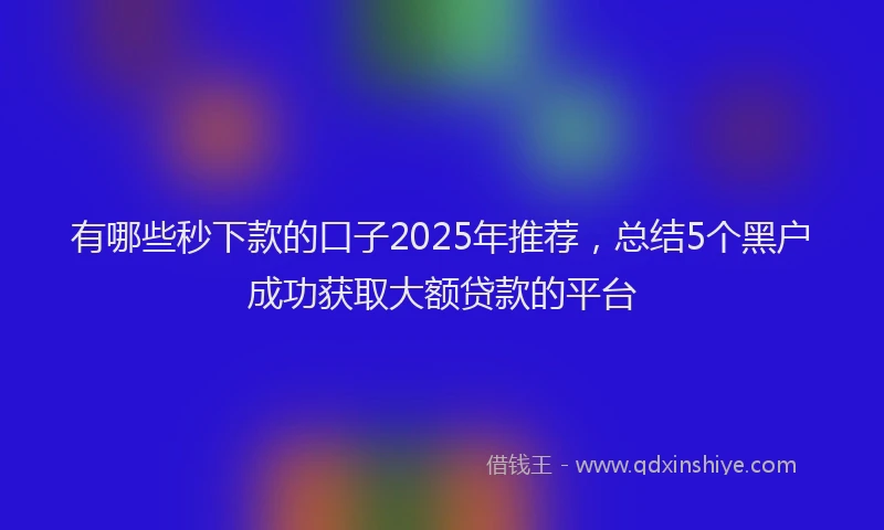 有哪些秒下款的口子2025年推荐，总结5个黑户成功获取大额贷款的平台