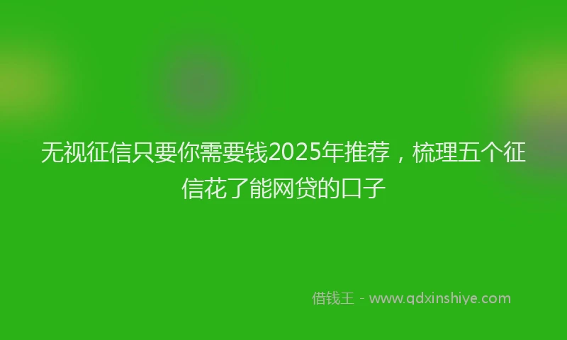 无视征信只要你需要钱2025年推荐，梳理五个征信花了能网贷的口子