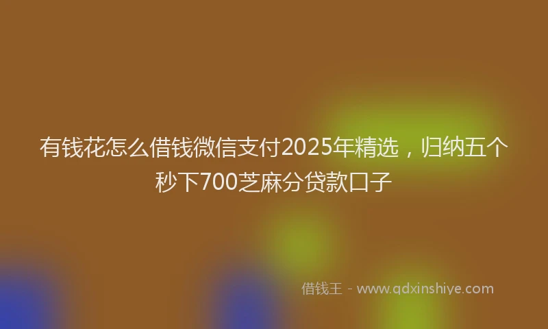 有钱花怎么借钱微信支付2025年精选，归纳五个秒下700芝麻分贷款口子