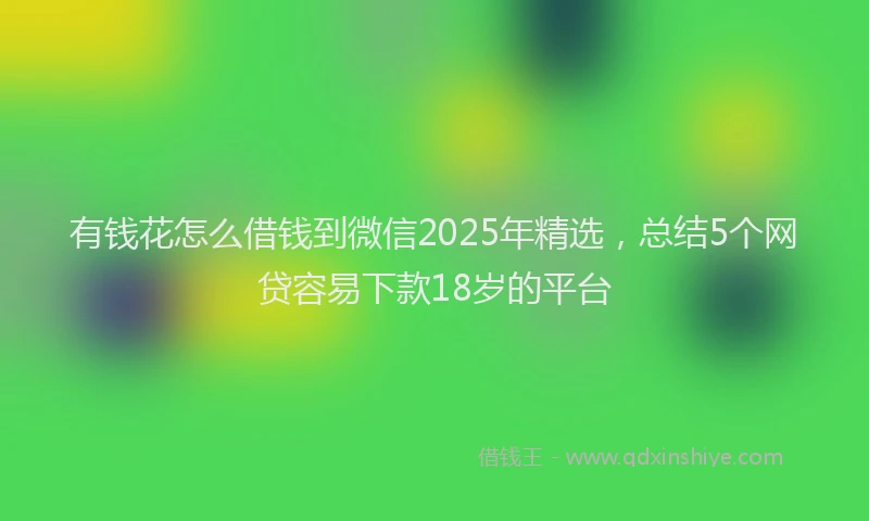 有钱花怎么借钱到微信2025年精选，总结5个网贷容易下款18岁的平台