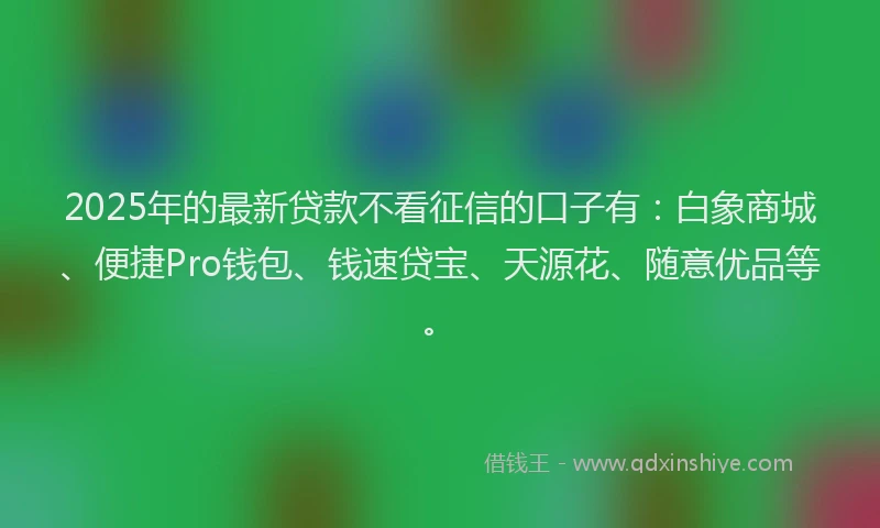 2025年的最新贷款不看征信的口子有：白象商城、便捷Pro钱包、钱速贷宝、天源花、随意优品等。