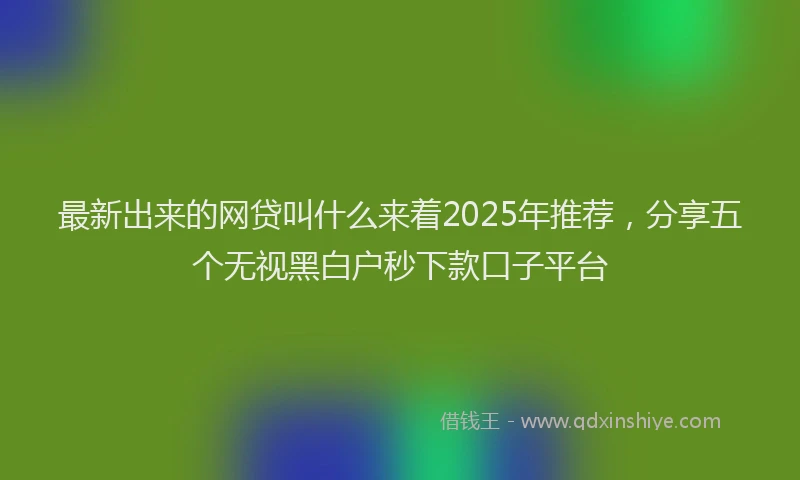 最新出来的网贷叫什么来着2025年推荐，分享五个无视黑白户秒下款口子平台