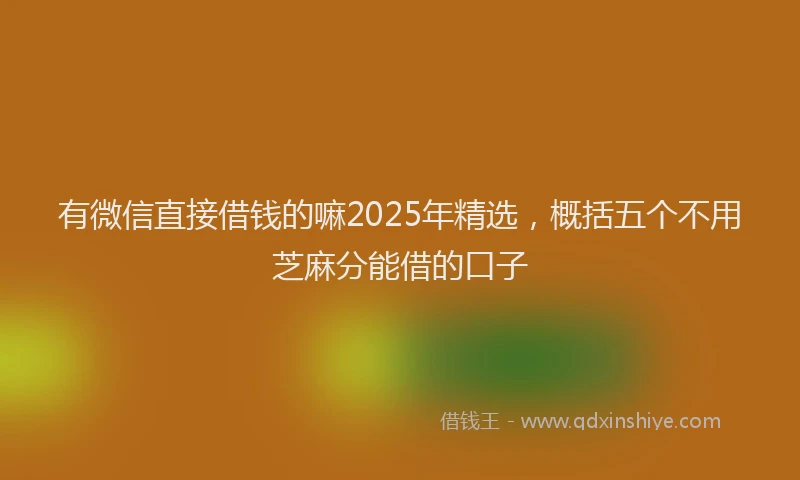 有微信直接借钱的嘛2025年精选，概括五个不用芝麻分能借的口子