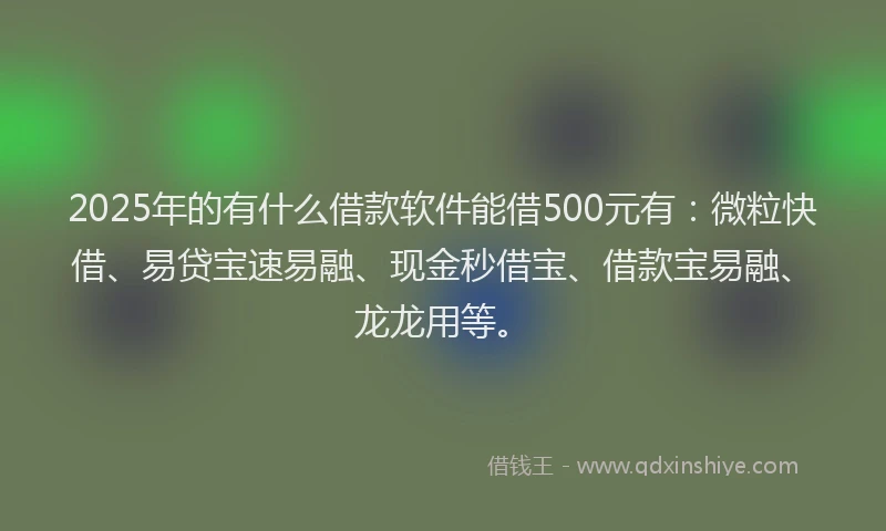 2025年的有什么借款软件能借500元有：微粒快借、易贷宝速易融、现金秒借宝、借款宝易融、龙龙用等。