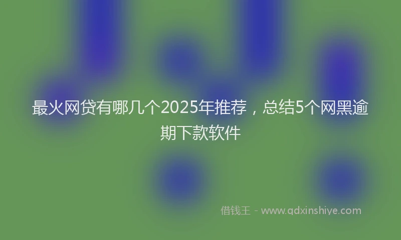 最火网贷有哪几个2025年推荐，总结5个网黑逾期下款软件